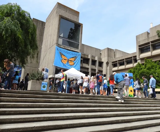 Up, up the steps to Briggs Hall, where the bugs are. (Photos by Kathy Keatley Garvey)