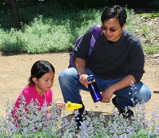 Chloe Jerng, 8, gets ready to use a catch-and-release device in the haven with her dad, Mark Jerng, an English professor.