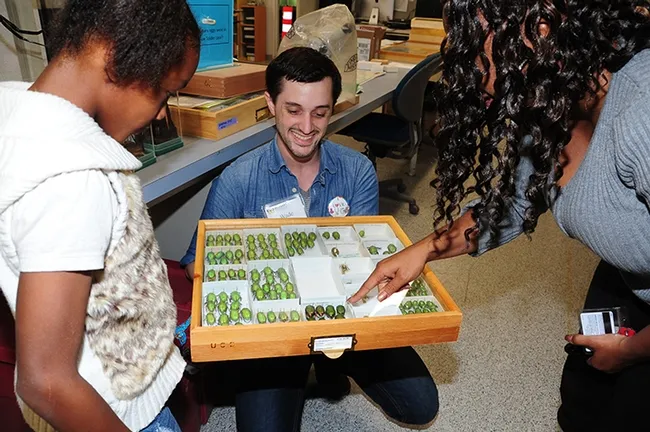 Bohart associate Wade Spencer, a UC Davis student majoring in entomology, shows jewel beetles to Amiyah Robinson, 8, and her mother, Chelsy Robinson. (Photo by Kathy Keatley Garvey)