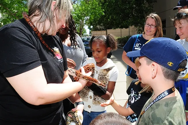 Donnelly "Papaya" West of Papaya Pythons, Davis, shows her snakes to Amiyah Robinson, 8, (center) and other excited youngsters and adults at "Take Our Daughters and Sons to Work" Day. (Photo by Kathy Keatley Garvey)