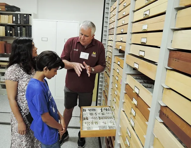 Entomologist Jeff Smith, who curates the butterfly and moth specimens at the Bohart Museum, talks to Prerna Jain and her
son Prakrit Jain, 13, of Los Altos. Prakrit will be attending the Bioblitz in Belize this summer. (Photo by Kathy Keatley Garvey)