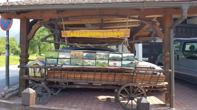 A trailer of old, empty Slovenia bee hives is being used for yard art. This photo was taken in front of the house of Erik Luznar in Slovenia. The WSU team collected in his apiary. (Photo by Jackie Park-Burris)