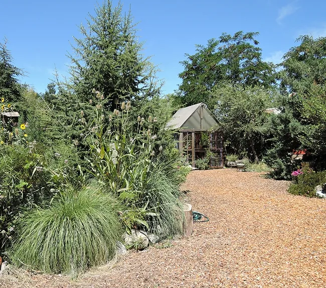 An inviting path in the Frey gardens. (Photo by Kathy Keatley Garvey)