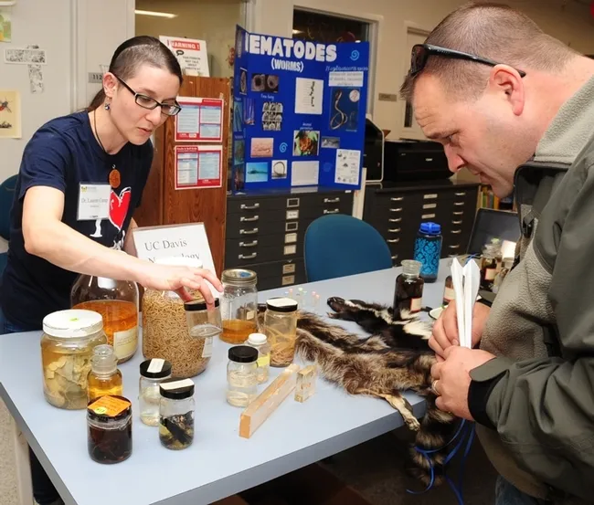 Lauren Camp, diagnostic parasitologist at the UC Davis Veterinary Medical Teaching Hospital, will display nematode specimens at the Bohart open house. (Photo by Kathy Keatley Garvey)