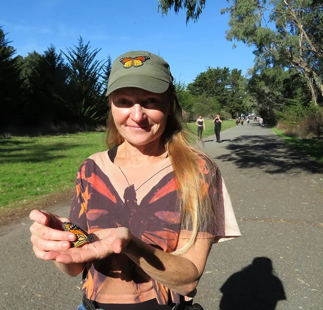 Monarch Mom Rita LeRoy, farm keeper at Loma Vista Farm, Vallejo, is ready to release the Vacaville-born and reared monarch at the butterfly sanctuary at Natural Bridges State Park, Santa Cruz, on Nov. 24.