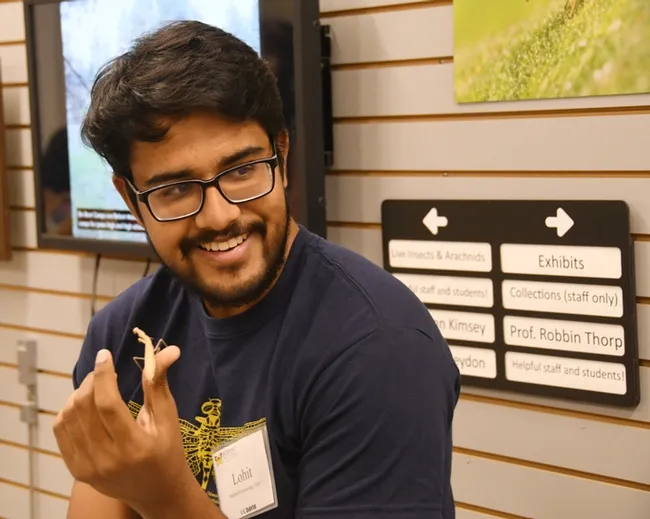 UC Davis entomology major Lohitashwa “Lohit” Garikipati showed his praying mantises at a Bohart Museum open house last September. He will be showing his collection on Saturday, Feb. 17 during the UC Davis Biodiversity Museum Day. (Photo by Kathy Keatley Garvey)