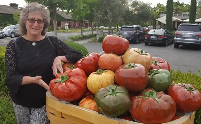 Entomologist/artist Diane Ullman with her tomato sculpture.