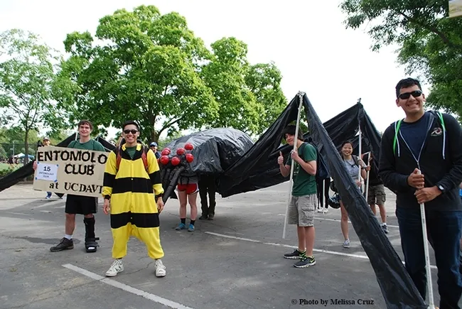 This is the UC Davis Entomology Club's 2017 prize-winning float depicting a 40-foot long black widow spider. (Photo by Melissa Cruz)