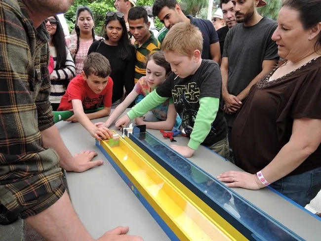 And the race is on! Cockroach races, that is. These "athletes" are American cockroaches. (Photo by Kathy Keatley Garvey)