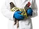 biosecurity