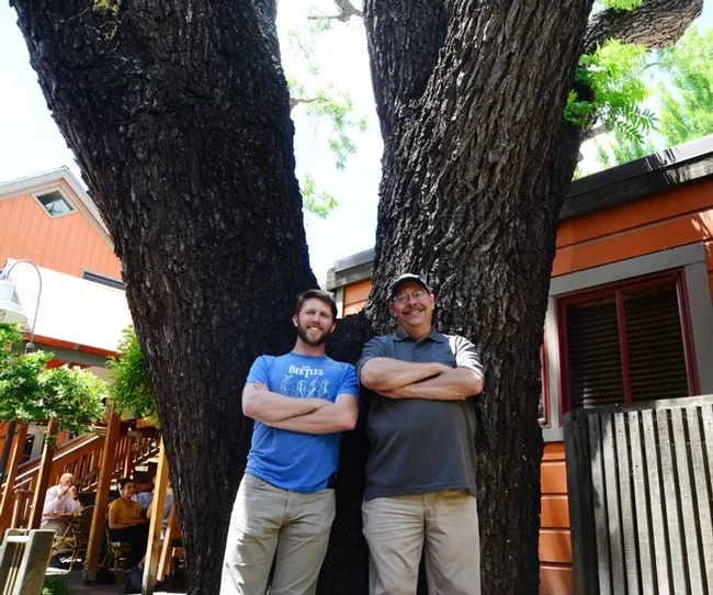 Forest entomologists Steve Seybold and Jackson Audley, his doctoral student, stand at the base of a dying giant black walnut tree on the 100 block of E Street. (Photo by Kathy Keatley Garvey)