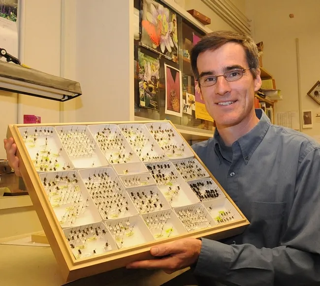 UC Davis pollination ecologist Neal Williams seeks to sustain both wild and managed bees. (Photo by Kathy Keatley Garvey)