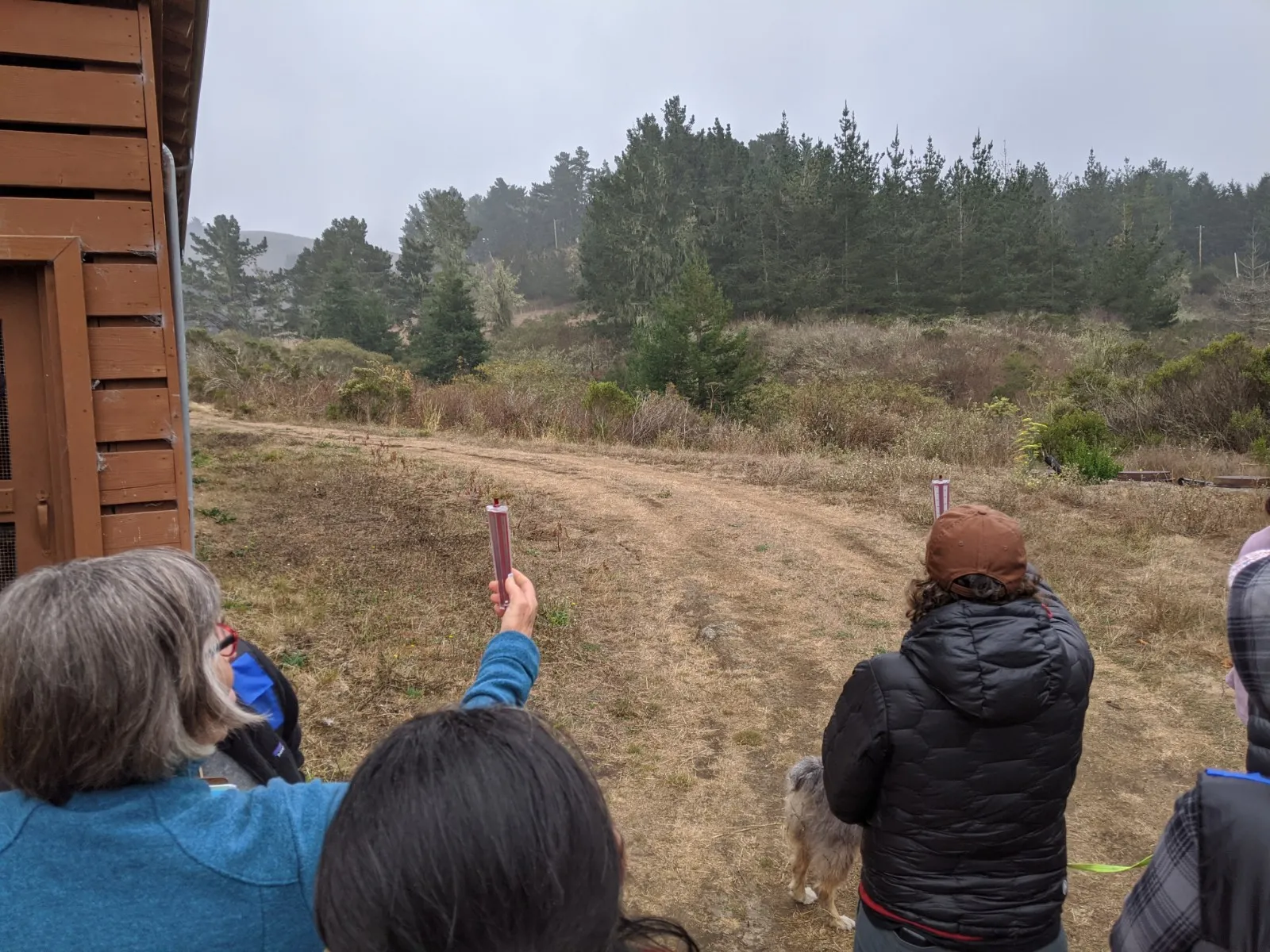 Educators measuring in forest