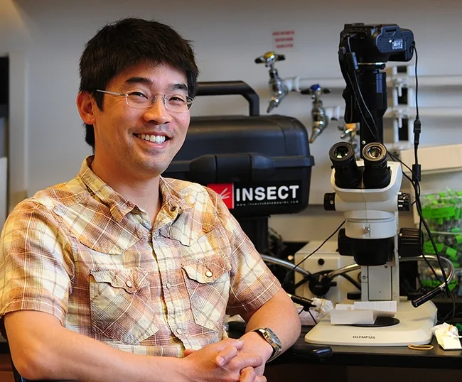 Professor Louie Yang in his Briggs Hall office, UC Davis Department of Entomology and Nematology. (Photo by Kathy Keatley Garvey)