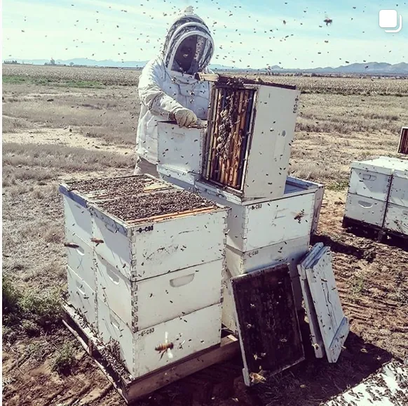 An image of Caroline Yelle, owner of Pope Valley Queens, prior to her two major losses: a wildfire in August of 2020, and major felony vandalism in June 2023.