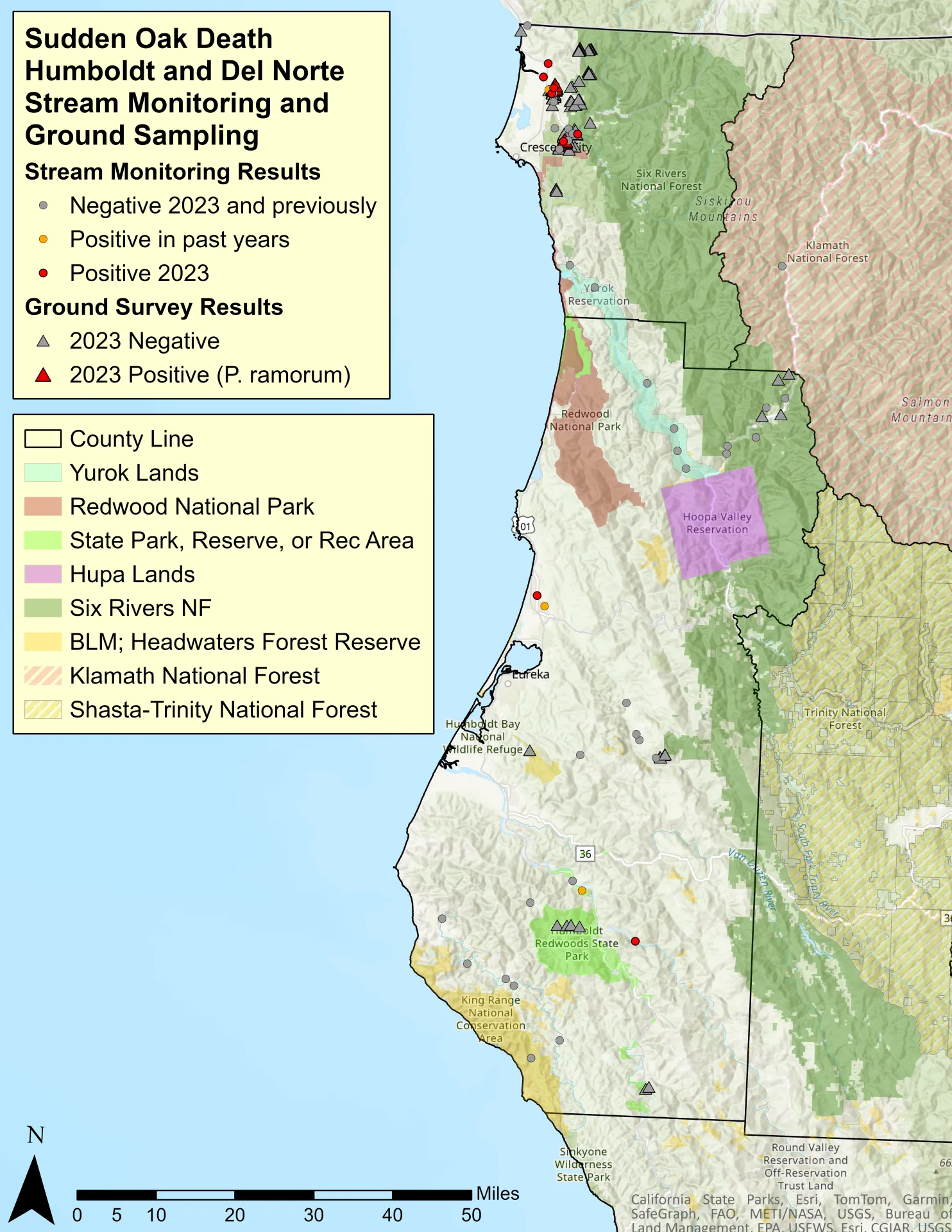 Disease confirmed by UC Davis Rizzo Lab and UCCE Humboldt in 2023