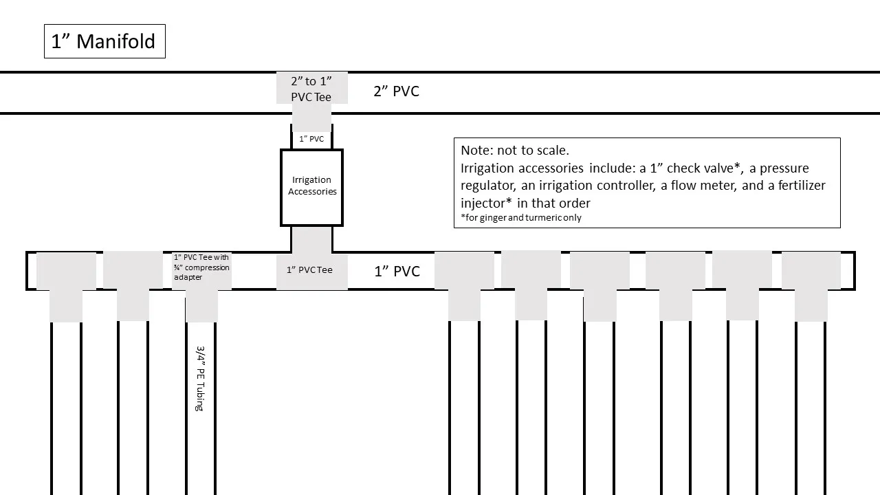 Figure 2. Layout of the irrigation manifold that connects the main 2” PVC to the ¾” flexible tubing that runs down each row of plants.
