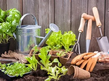 watering can