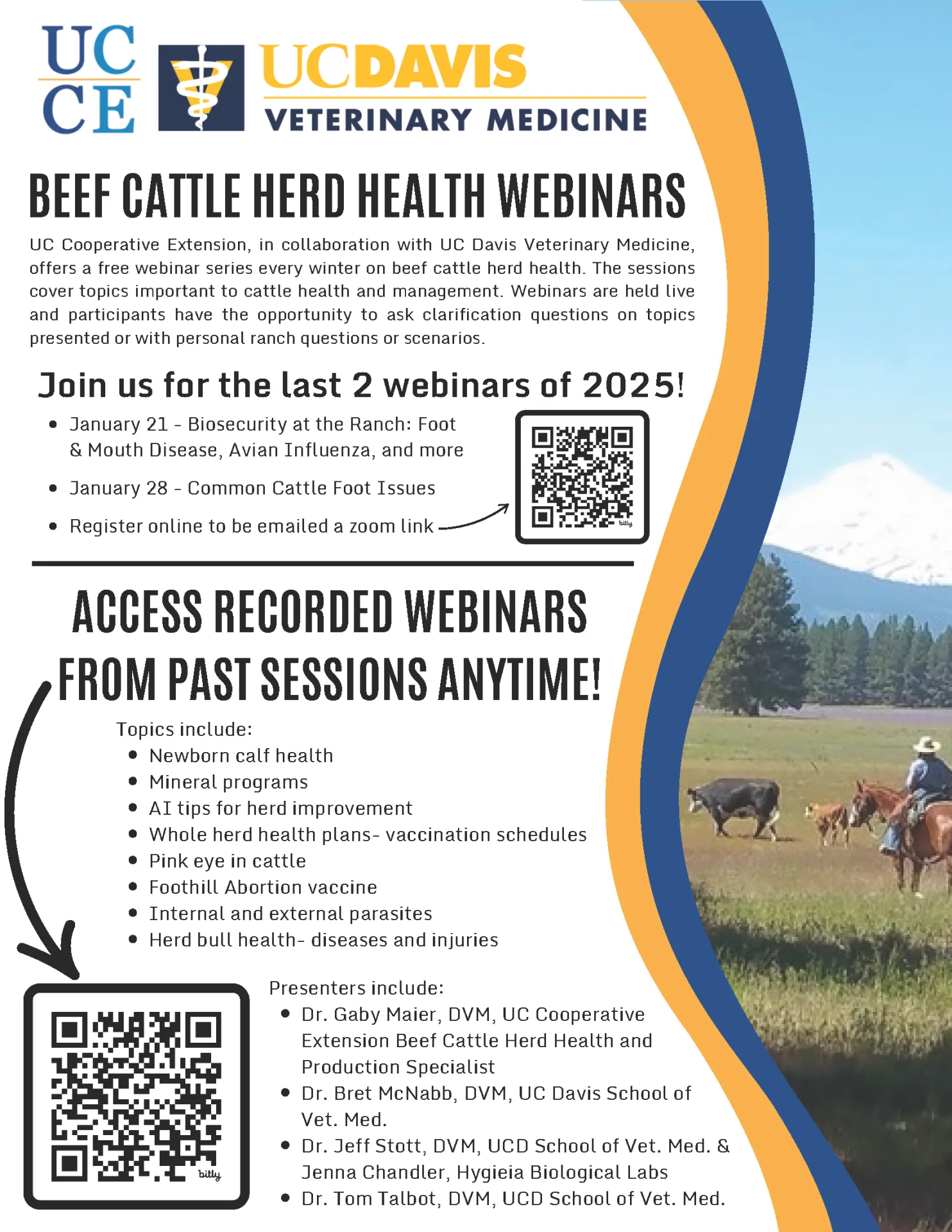 cattle health webinar series