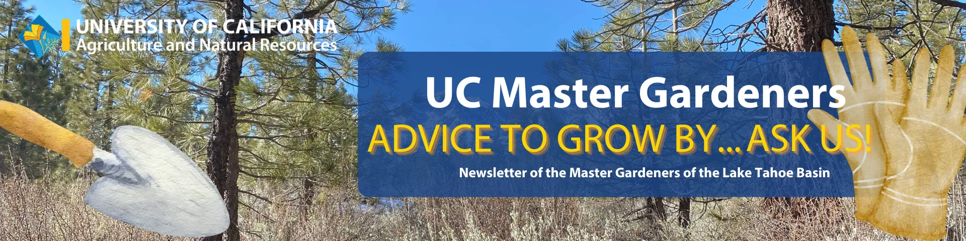 Lake Tahoe Master Gardener Newsletter Header