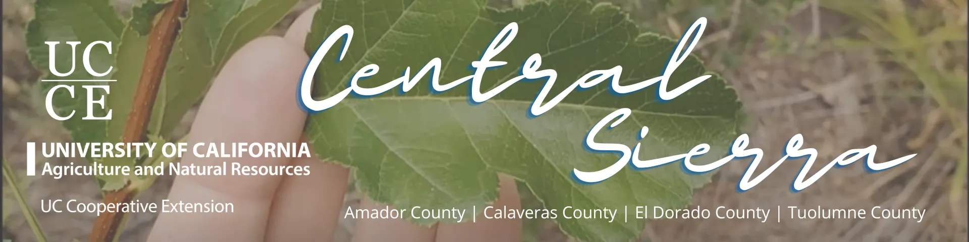 Central Sierra Email Header