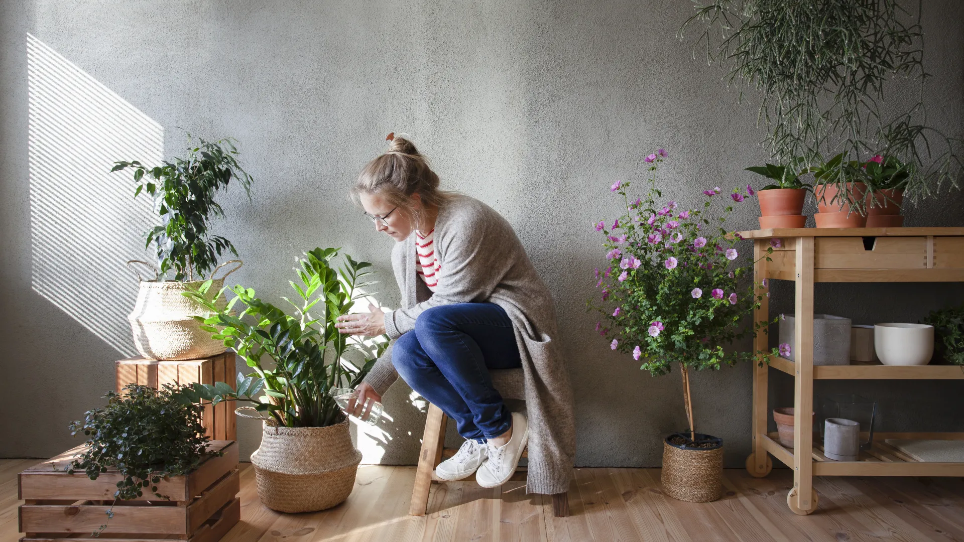 woman tending houseplants