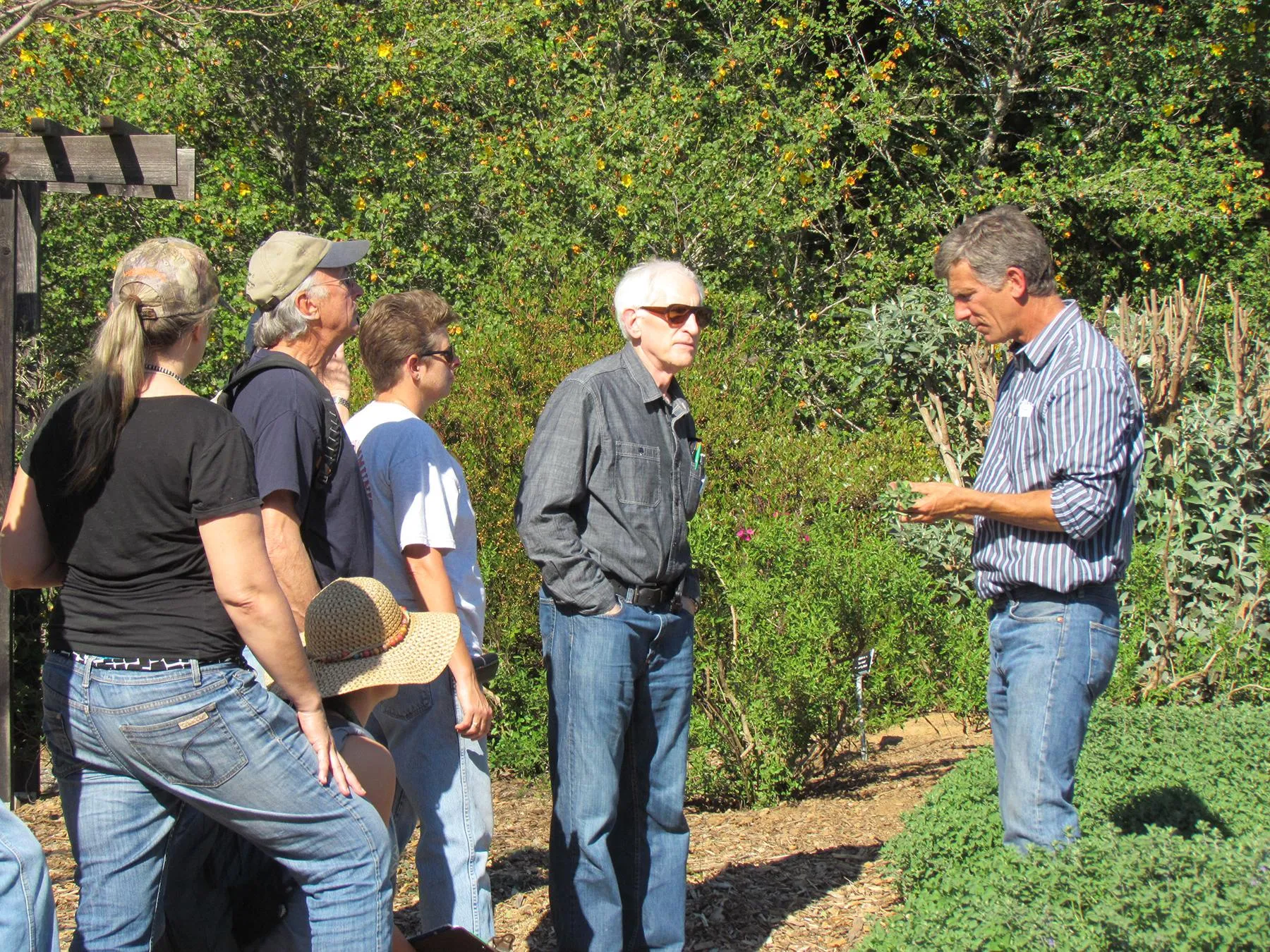 Jim Xerogeanes teaching the 2015 plant propagation portion of Master Gardener training. Photo: Elizabeth Petersen