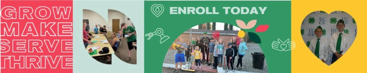 Enroll Today
