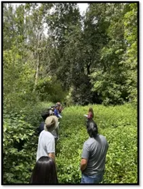 Trees and people looking for insects