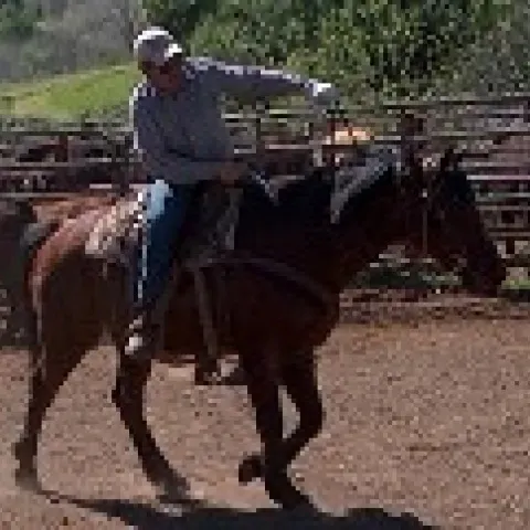 Abraham H Mendoza