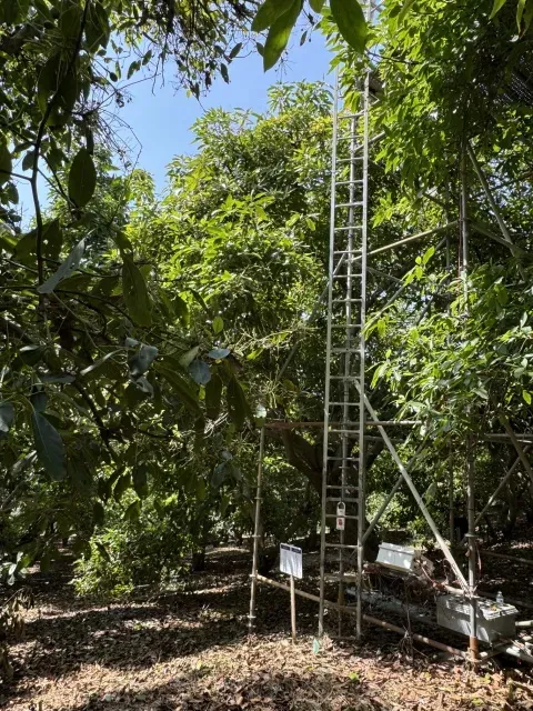 muestra los instrumentos que miden temperaturas en huertos de aguacates