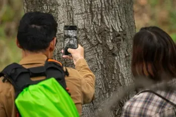 Voluntarios recolectan Información sobre los robles