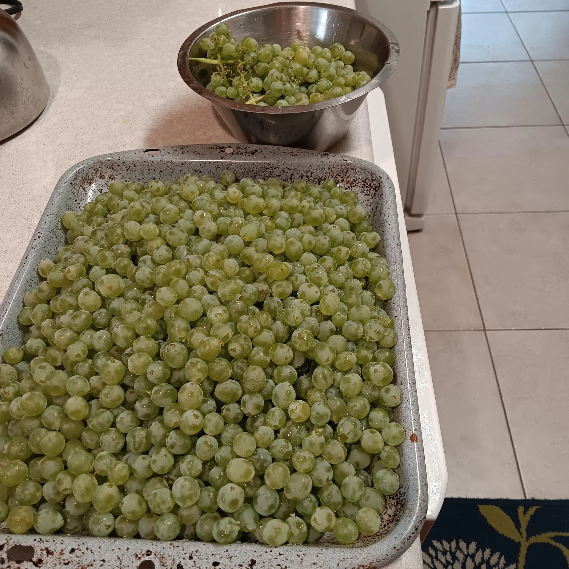 clean grapes, destemmed