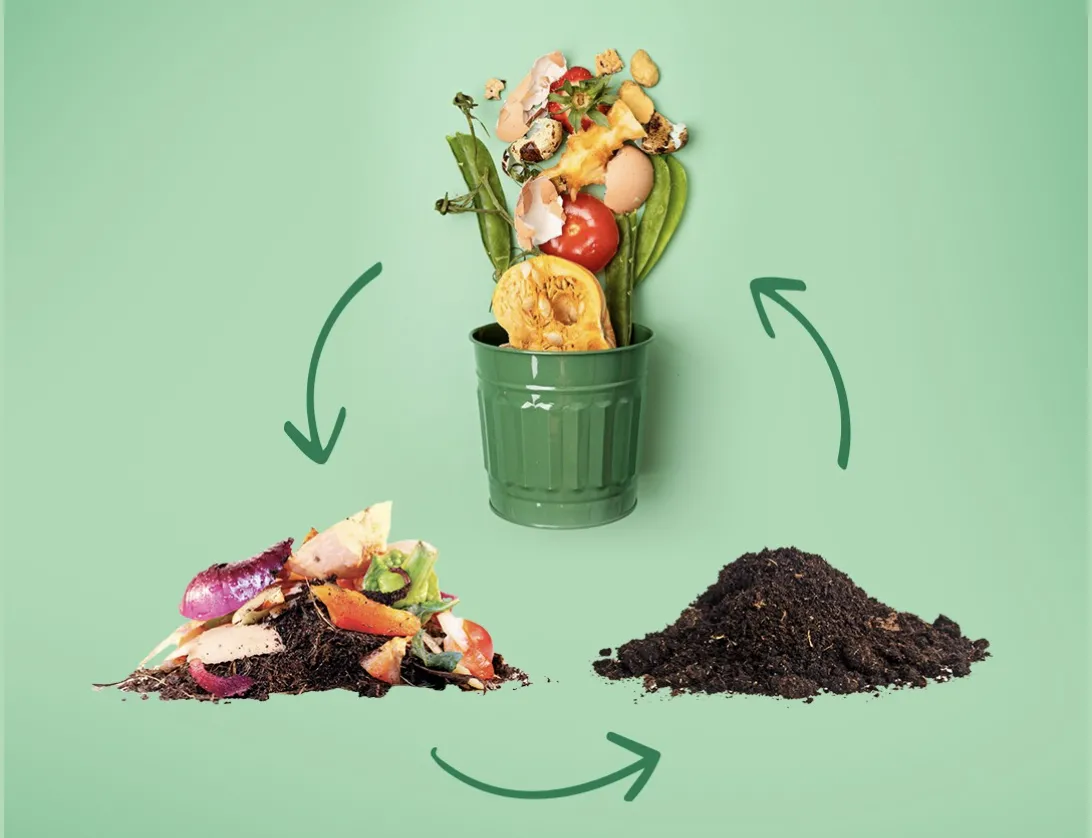Compost