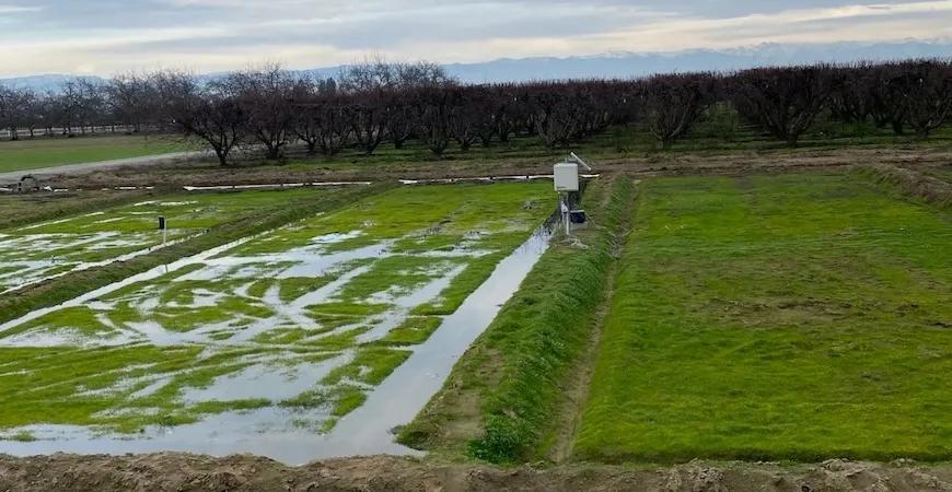 The project includes one test bed served by an AI system and one watered traditionally