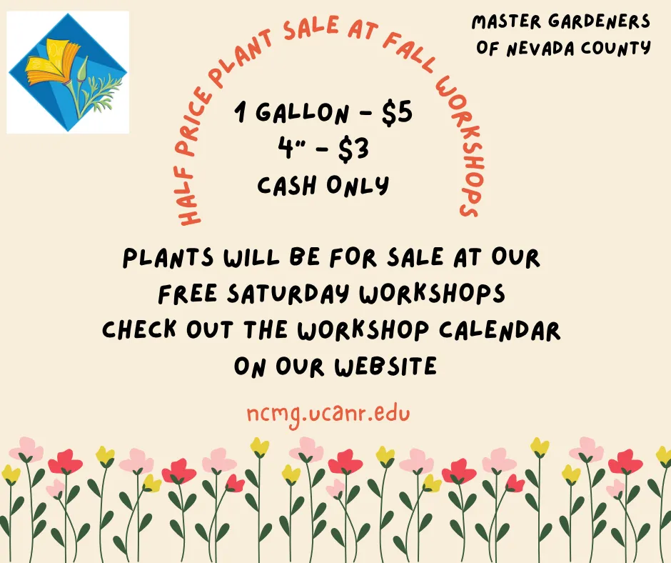 Half Price Plant Sale