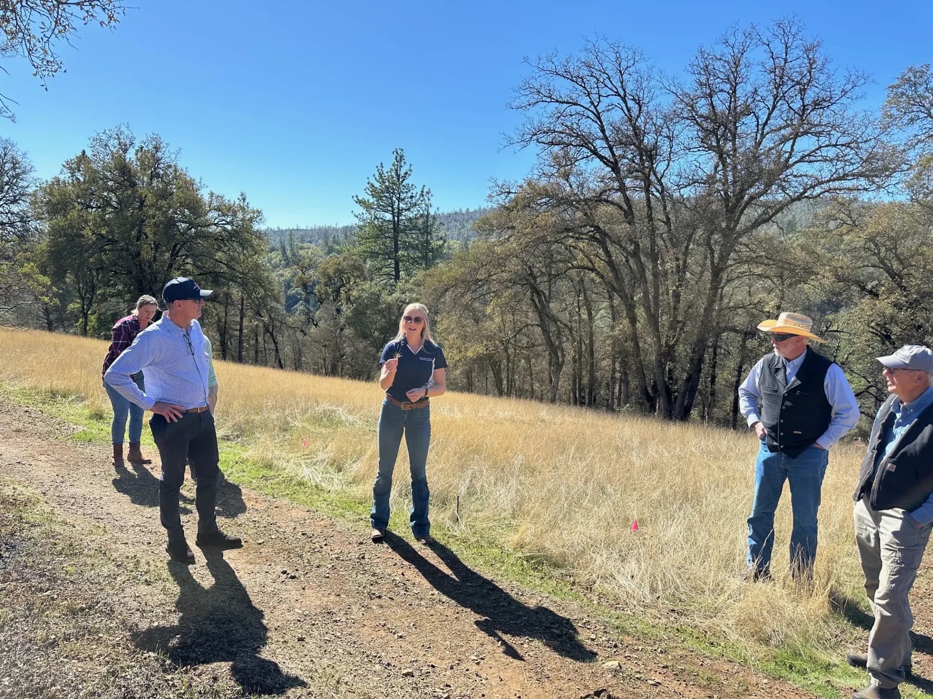 Four people standing in tall grass look at blonde woman holding goat weed