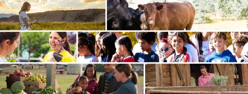 Girl in flower field, cattle, kids on farm trip, farmer scooping hay, family shopping at farmstand, gardeners laughing