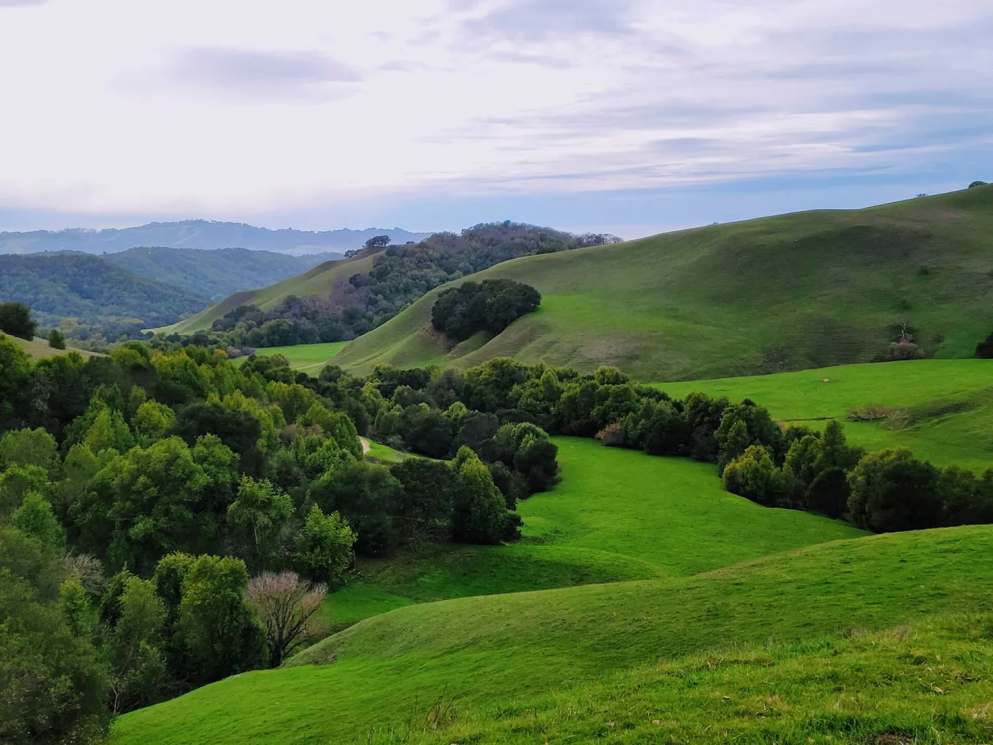 Rolling hill