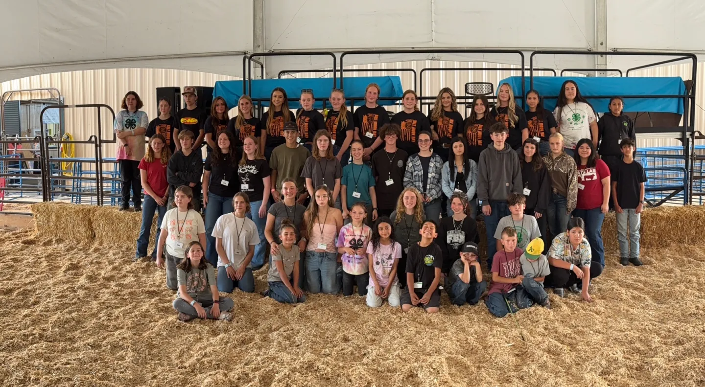 Fair 2025