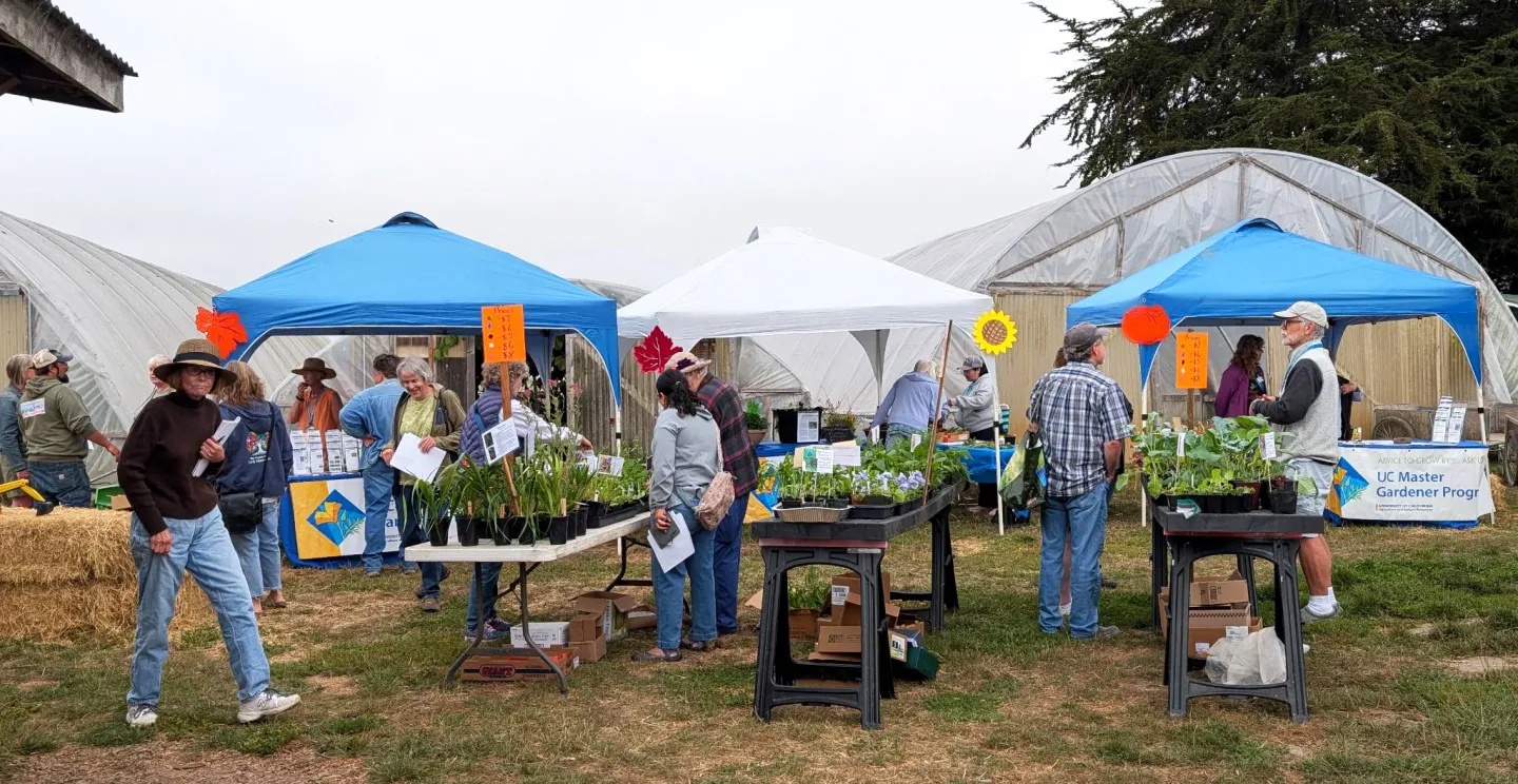 UC Master Gardener 2025 Education and Plant Sale Event