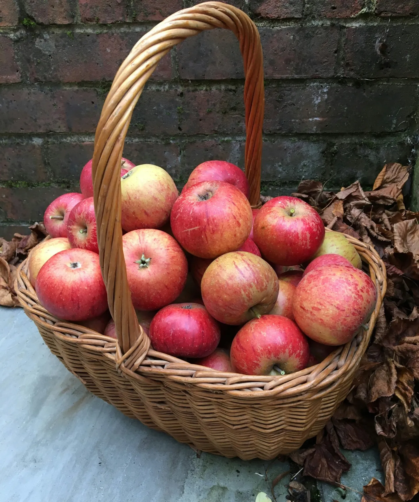 apples