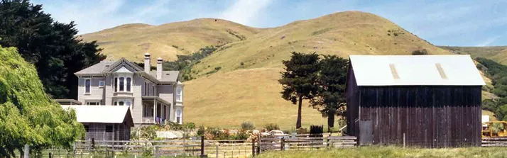 Picture of a farm with cows in the front at Chileno Valley Ranch