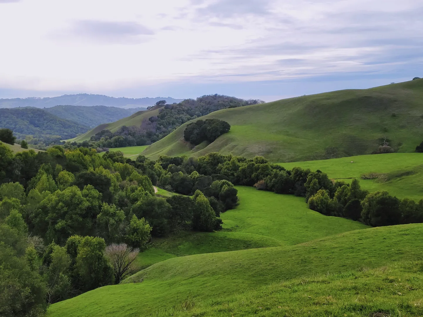 Veiw of rolling hills, Briones Regional Park