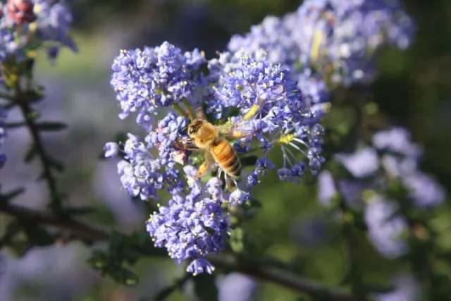 25088_380229879403_778339403_3490166_6852814_n