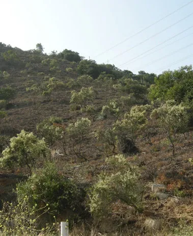 good clearance from JLopez