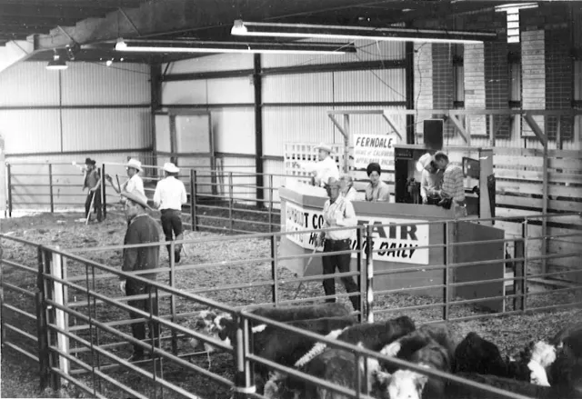 At the Humboldt County Fair