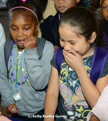 Airianna Creer and Raquel Robles of Fairfield react to a Madagascar hissing cockroach. (Photo by Kathy Keatley Garvey)