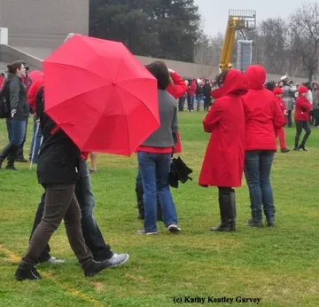 Appropriately dressed participants at the 2014