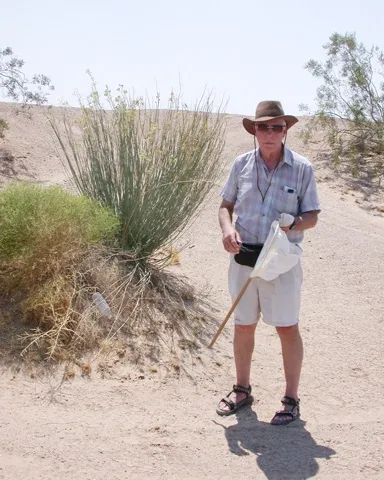 Research entomologist Tom Zavortink, Bohart Museum associate, in the field. (Photo by Lynn Kimsey)